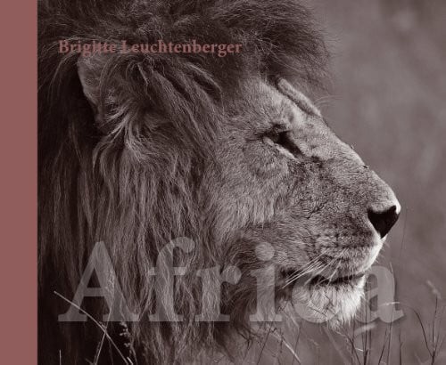 Africa sinneseindrücke in - sinneseindrücke,