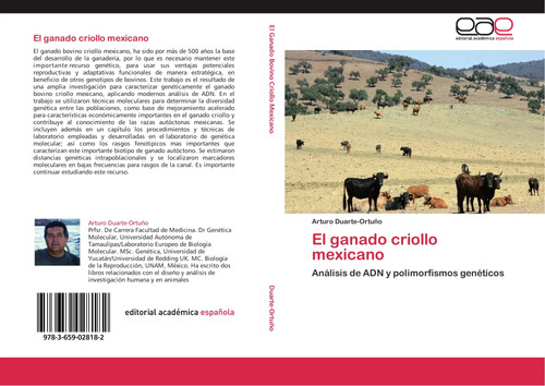 Ganado criollo mexicano - ganado,
