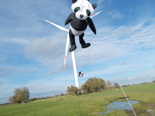 Stablose panda bär drachen - stablose,