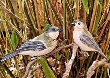❀  Vogelpaar 2 Vögel