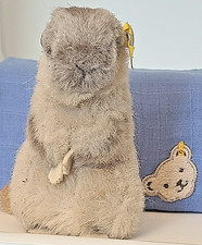 steiff 2205/12 - Piff Murmeltier 12cm Webpelz grau KF sGUT sooooooo süß