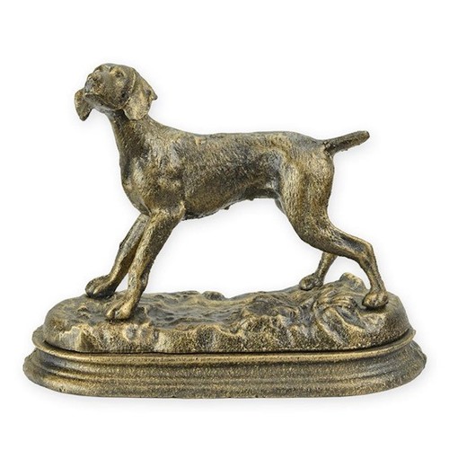 Jagd hund hündin - jagd-hund, eisen