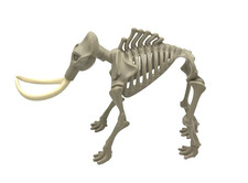 Playmobil Mammut Skelett
