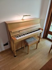 Euterpe Klavier by C