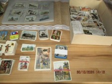 Über 1.000 verschiedene