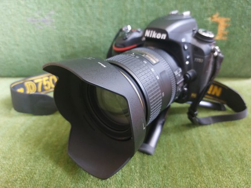 Nikon d750 mit 24 120mm - d750, af-s