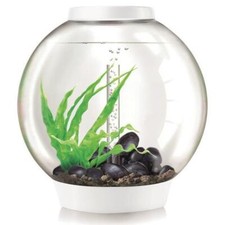 Biorb nano aquarium - biorb, nano-aquarium