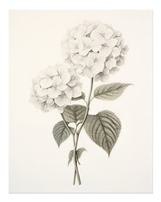 Elegante Blumen Wandkunst