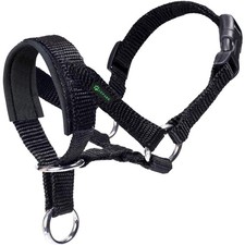 Hundehalfter gepolstert - hundehalfter,