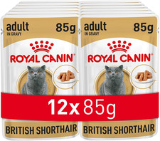 Royal Canin Britisch Kurzhaar Nassfutter für Katzen, 12 x 85 g