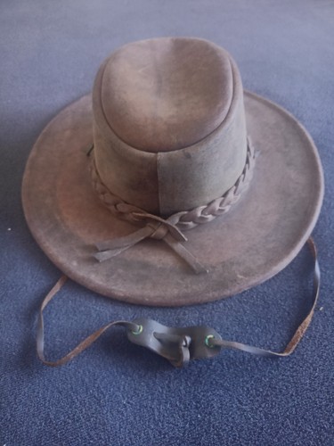 Wallaby australian lifestyle - wallaby,