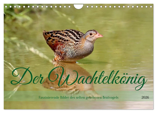 Leo bucher der - der, wachtelkönig