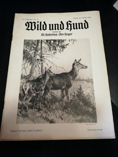 Wild und hund 43 - wild,