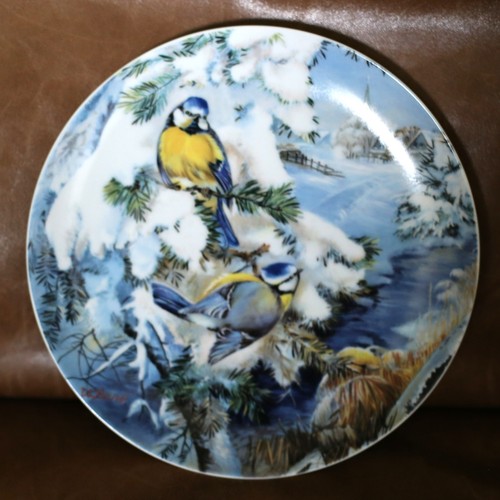 Wandteller blaumeisen - wandteller, im