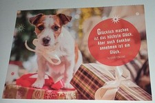 Jack Russel Terrier Weihnachten Welpe Hund Postkarte Postcard Ak Hundepostkarte 