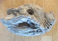 Bf Me 109 Messerschmitt