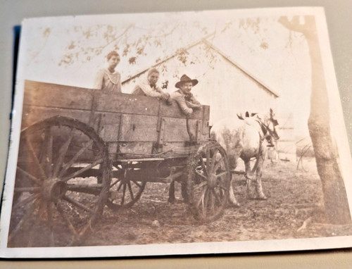 Altes foto vintage - foto, paar