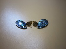 Abalone- Paua Perlmutt