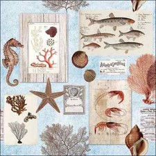 Servietten Lunch 33 x 33 cm 3-lagig 20 Servietten Sepia Sea blau maritim Fisch