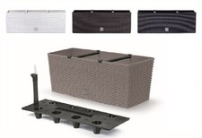 Blumentopf Blumenkübel