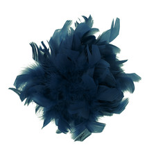 Feder Brosche 2-in-1 Anstecker, Hutaccessoire, Haarclip, Fascinator Baesics 