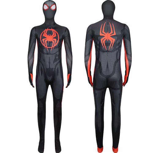 Across the spiderverse - across,