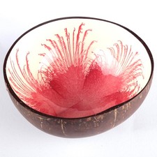 Knabberschale Kokosnuss Schale Schüssel weiß rosa Ø 13 cm Aufbewahrungsschale