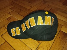 SG Dynamo Dresden Soccer