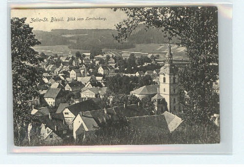 Zella blasii - zella,