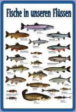 mrdeco Blechschild 30x40cm