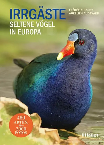 Irrgäste seltene vögel - |,