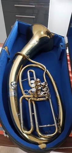 Tenorhorn reisser ulm - tenorhorn,