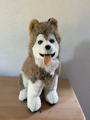 Plüsch husky von der - von,