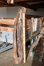 DEKO hohler Ast Baumstamm