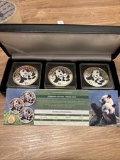 China Panda 2024 Diamond