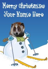 sm69 Slow Loris