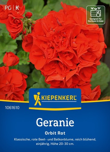 Kiepenkerl geranie orbit rot - kiepenkerl,