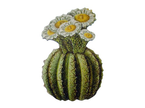 Kaktus brosche miniblings - kaktus,