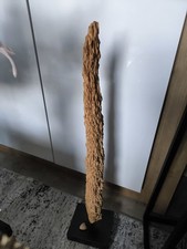 Treibholz Schwemmholz