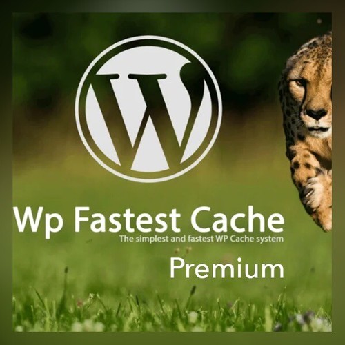 Fastest cache premium - cache, –