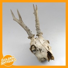 alter Vintage Hirsch Hirsch