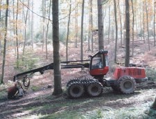 Holz vollernter foto 10er - holz,