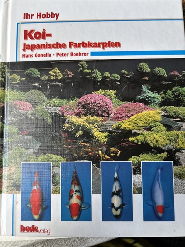 Koi japanische farbkarpfen - koi,