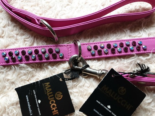 Luxus halsband mit - mit, leine