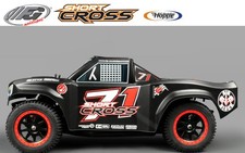 FG 68200 FG Modellsport 1:5