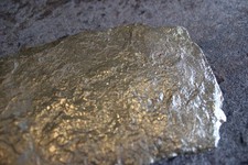 Ammoniten Fossilien Abdrücke im Posidonienschiefer von Holzmaden Deutschland