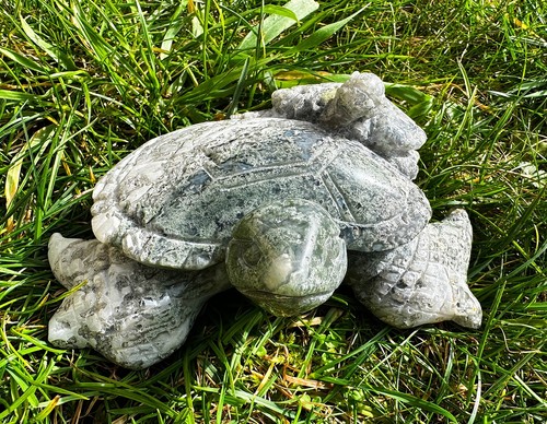 Xxl moosachat schildkröte - xxl,