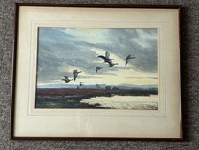 Hughes Richardson "Wildgänse