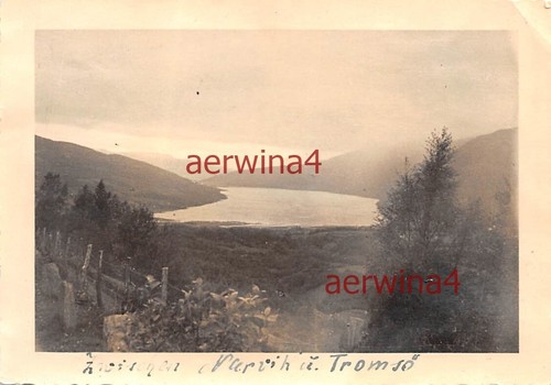 Zwischen narvik und tromsö - narvik,