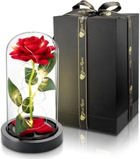 Premium Rose im Glas mit